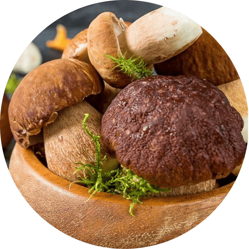 ALMETTE с белыми грибами